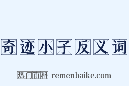 奇迹小子反义词是什么意思的图片